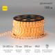 Фотография Дюралайт LED, постоянное свечение (2W) - желтый Эконом 24 LED/м, бухта 100м, артикул 121-121-4
