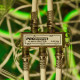 Фотография Делитель ТВх4 под F-разъем, 5-900МГц PROconnect, артикул 05-6033