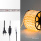 Фотография Дюралайт LED, постоянное свечение (2W) - желтый Эконом 24 LED/м, бухта 100м, артикул 121-121-4