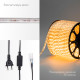 Фотография Дюралайт LED, свечение с динамикой (3W) - желтый, 36 LED/м, бухта 100м, артикул 121-321