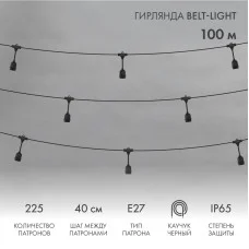 Гирлянда Belt-Light 2 жилы, 100м, шаг 40см, 225 подвесных патронов Е27, IP65, черный круглый провод NEON-NIGHT
