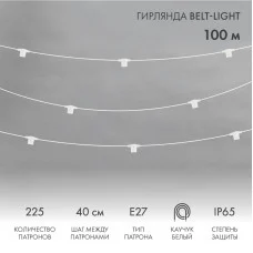 Гирлянда Belt-Light 2 жилы, 100м, шаг 40см, 225 патронов Е27, IP65, под винт, белый круглый провод  NEON-NIGHT