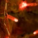 Фотография Гирлянда светодиодная Занавес 2x0,8м 160 LED КРАСНЫЙ прозрачный ПВХ IP65 постоянное свечение 230В соединяется NEON-NIGHT шнур в комплекте, артикул 235-102